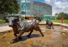 Usf Bomb Threat: Uncertainty Spreads Near the University of South Florida’s Tampa Campus