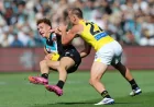 Richmond Vs Port Adelaide: Tigers Eye First Win at the MCG in Round 4 Clash