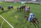 Randwick Races Today: Mick Gannon’s ‘Charging late’ call and the form that matters
