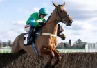 Irish Grand National 2026: A 30-Runner Field and the People Behind the Plans
