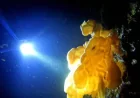 Cloud Sponge Discovery Exposes a Hidden Fragility Beneath B.C. Waters