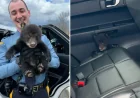 New Jersey Troopers Rescue Bear Cub From Highway Ditch in a Memorable Call