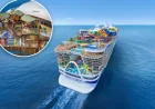 Hero Of The Seas Royal Caribbean: 3-Story Treehouse Suite Tops $200K a Week as Bookings Open