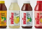 Wawa Recalls Iced Teas, Lemonade, and Punch Over Milk Allergen Risk