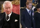 King Charles Confronted Harry and Meghan’s Unthinkable Plans on Queen’s Death Day