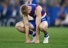 Afl Scores: Bulldogs suffer injury blows before Hawks blockbuster