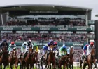 Aintree Grand National 2026: Now Is The Hour ruled out as the draw narrows and the pressure rises