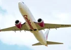 Baby Born Caribbean Airlines Flight: 3 Details Behind the Midair Delivery on the Jamaica-New York Route