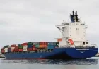 Container Ship Damage Near Iran Coast Raises 3 Questions About Gulf Risk