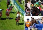 The Grand National 2026: I Am Maximus and Nick Rockett lead 49 confirmations at Aintree