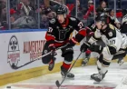 Lhjmq Series: Remparts Force a Winner-Take-All Game in Charlottetown