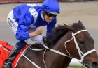 Winx Foal Quinceanera Retired: The $10 Million Filly That Never Reached the Track