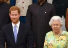 Prince Harry and the Queen’s Final Years: What Changed After the Split
