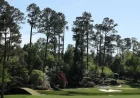 Masters Field Faces Challenging Conditions Under Sunny Skies at Augusta National