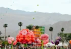 Coachella Demand Drives Up Prices Amid Rental Speculations