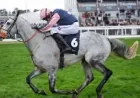 Grey Horses In Grand National 2026: Why the colour still draws bets