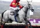 Marble Sands Horse and the 1-in-10 grey factor behind Grand National betting