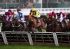 Firefox Horse: Grand National odds and stamina questions at Aintree
