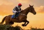 Top Of The Bill Horse: 3 Reasons the 2026 Grand National Trial Matters