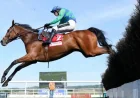 Champ Kiely Horse emerges as Patrick Mullins flags value option for Randox Grand National 2026