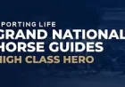High Class Hero Horse and 3 Warning Signs for the 2026 Grand National