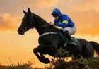 Jordans Horse: 5 reasons Banbridge is drawing local interest before the Grand National