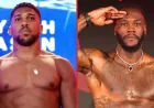 Anthony Joshua: David Haye backs him in possible Deontay Wilder clash