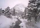 Winter Storm Warning Sierra Nevada Leaves Drivers Facing a Whiteout Test