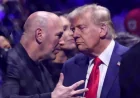 UFC Fans Shift Opinion on President Trump