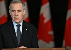 Radio-canada and the trust question as the Carney interview debate intensifies