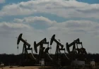Low Inflation Eases Oil Shock Impact on Emerging Markets
