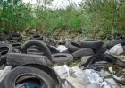 Beau Vine Waste Carrier License: 3-Second Approval Exposes a 2026 Fly-Tipping Flaw