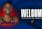 Shatori Walker-kimbrough and 3 Fever moves: what the latest signing signals