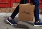 Allbirds Transforms from Shoe Startup to AI Innovator
