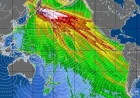 Tsunami Science Gets a Wake-Up Call From 2 Satellites and 1 Rare Pacific Event