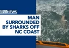Brett Barley and the shark surge off North Carolina as a warning moment