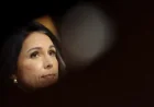 Odni and 3 reasons Democrats see a dangerous pattern in Gabbard’s claims