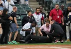 White Sox Anthem Singer Collapses on Field
