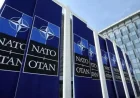 Ankara and the NATO Test: 3 Signals from Rutte’s Talks with Czech Leaders