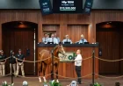 Flightline Colt Breaks OBS Record with $10.5M Sale