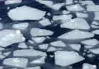 Antarctica sea ice puzzle deepens as robots reveal hidden ocean shift