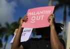 Palantir Avoids 2025 Federal Tax Amid Partnerships with ICE, Pentagon