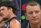 Elijah Hollands Mental Health as AFL inquiry deepens after Carlton review