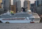 Man Overboard Carnival Cruise: Search Underway After Passenger Allegedly Jumps Overboard Cruise Ship