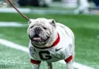 Georgia Bulldogs Football: 5 recruiting surprises set to shape G-Day in Athens
