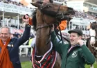 Noble Yeats dies at 11: 5 facts that explain why the Grand National hero still mattered