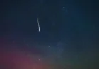 Lyrids Meteor Shower: 3 timing clues that could make this year’s display easier to catch