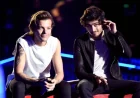 Netflix Scraps Zayn Malik and Louis Tomlinson Documentary Amid Altercation Claims