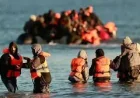 Belgium To Uk Migrant Boats: More Than 600 Cross the Channel in One Day