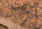 Mars Rover Finds 1 Strange Formation Near Antofagasta Crater That Looks Like Reptile Scales